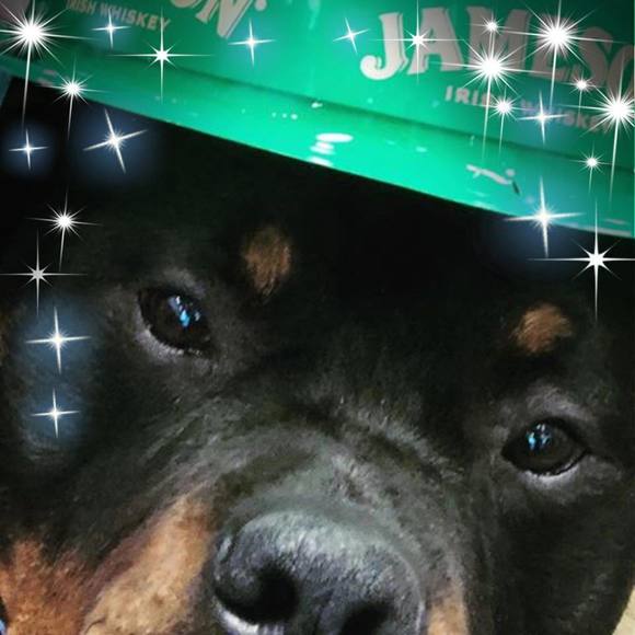 Meet your Posher, Anne - Picture 10 of 15